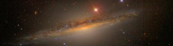 Cetus